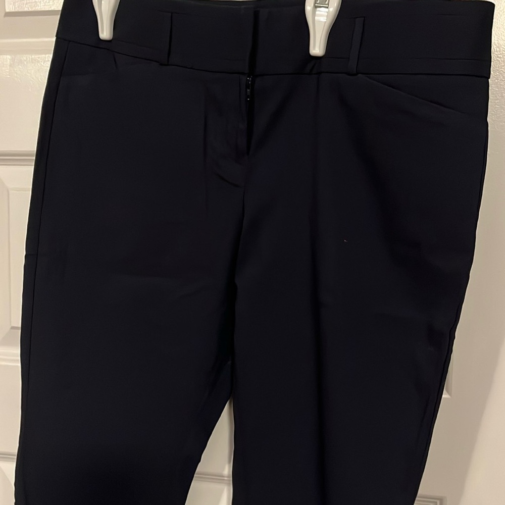The Limited Stretch Slim fit pants Size 12 short - New With Tags